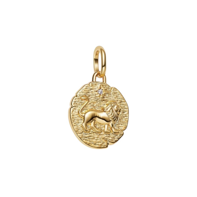 CHARM MEDALLÓN LEÓN