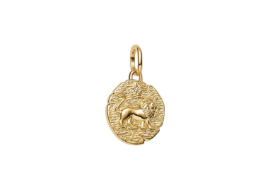 CHARM MEDALLÓN LEÓN