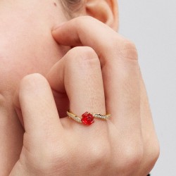 ROSA ENCANTADA LA BELLA Y LA BESTIA