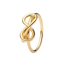 ANILLO NUDO INFINITO