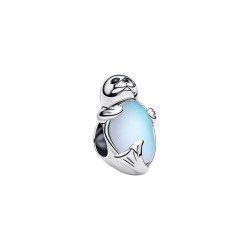 CHARM FOCA