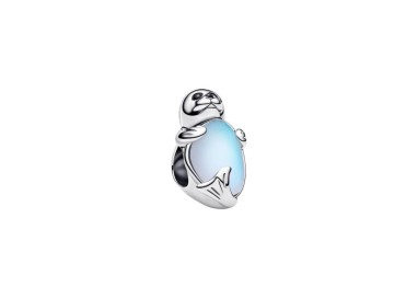 CHARM FOCA