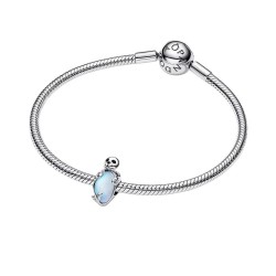 CHARM FOCA