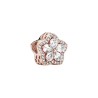 Snowflake Pandora Rose charm with clear