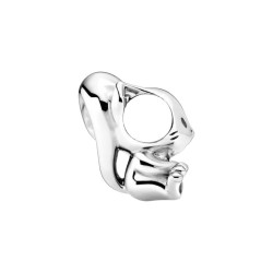 CHARM ARDILLA EN PLATA DE LEY